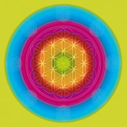 Flower_of_life8_oil