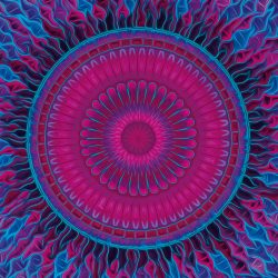 weiblichkeit_purple_oil